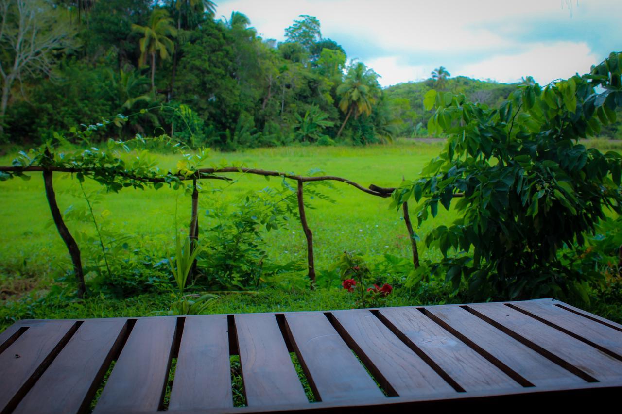 Paddy Field View Resort Mirissa Ngoại thất bức ảnh