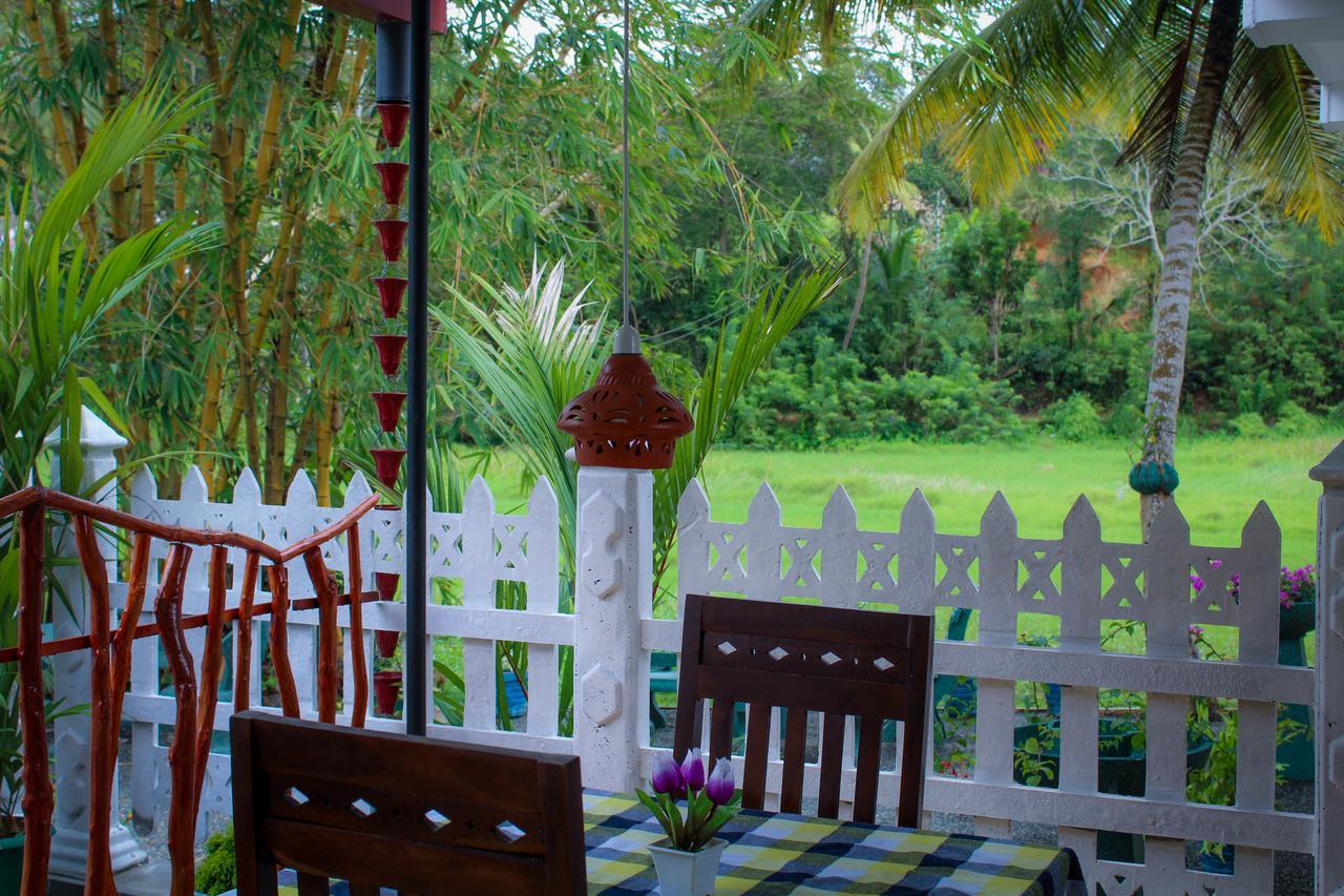 Paddy Field View Resort Mirissa Ngoại thất bức ảnh